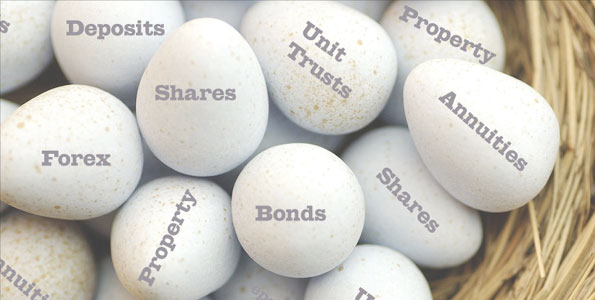 Investment Portfolio