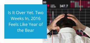 Is It Over Yet. Two Weeks In, 2016 Feels Like Year of the Bear